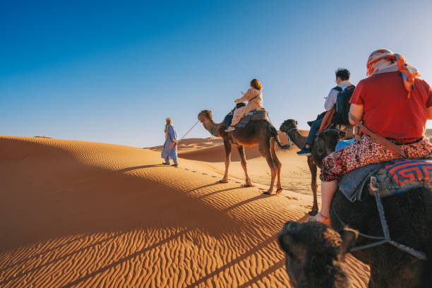 Marrakech to Fes via the desert