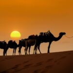 Ultimate Guide to a Morocco Sahara Desert Experience
