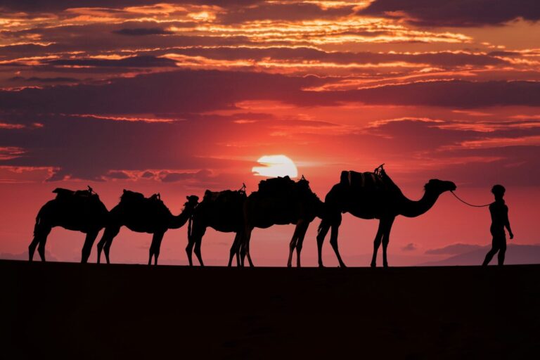 3 Days Desert Tour from Marrakech to Fes