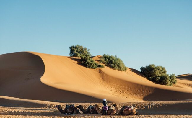 Morocco desert tour
