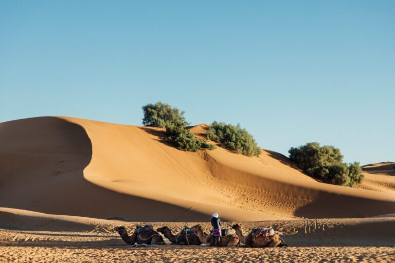 Morocco desert tour